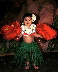 Click on this photo for a Full Screen image