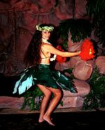 Click on this photo for a Full Screen image