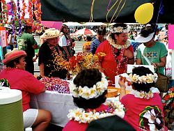 Click on this photo for a Full Screen image