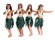 Click on this photo for a Full Screen image