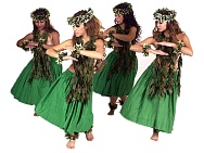 Click on this photo for a Full Screen image